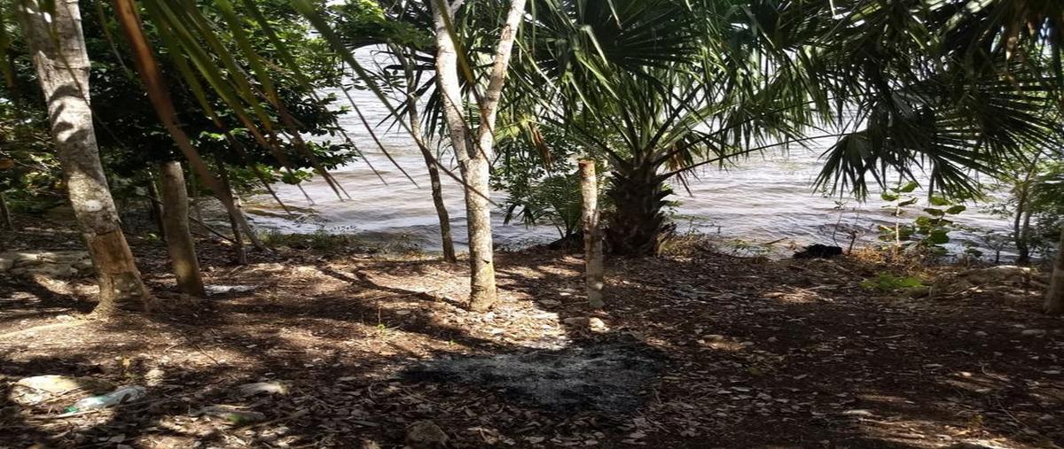 Foto de terreno habitacional en venta en  , aarón merino, bacalar, quintana roo, 0 No. 05