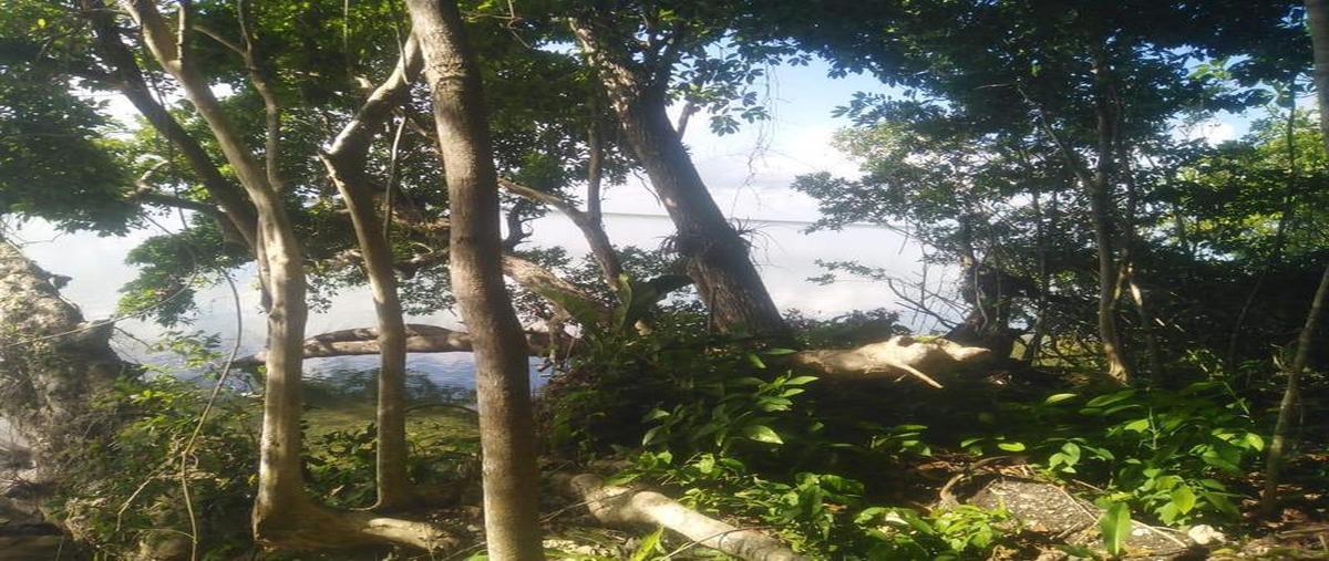 Foto de terreno habitacional en venta en  , aarón merino, bacalar, quintana roo, 0 No. 03