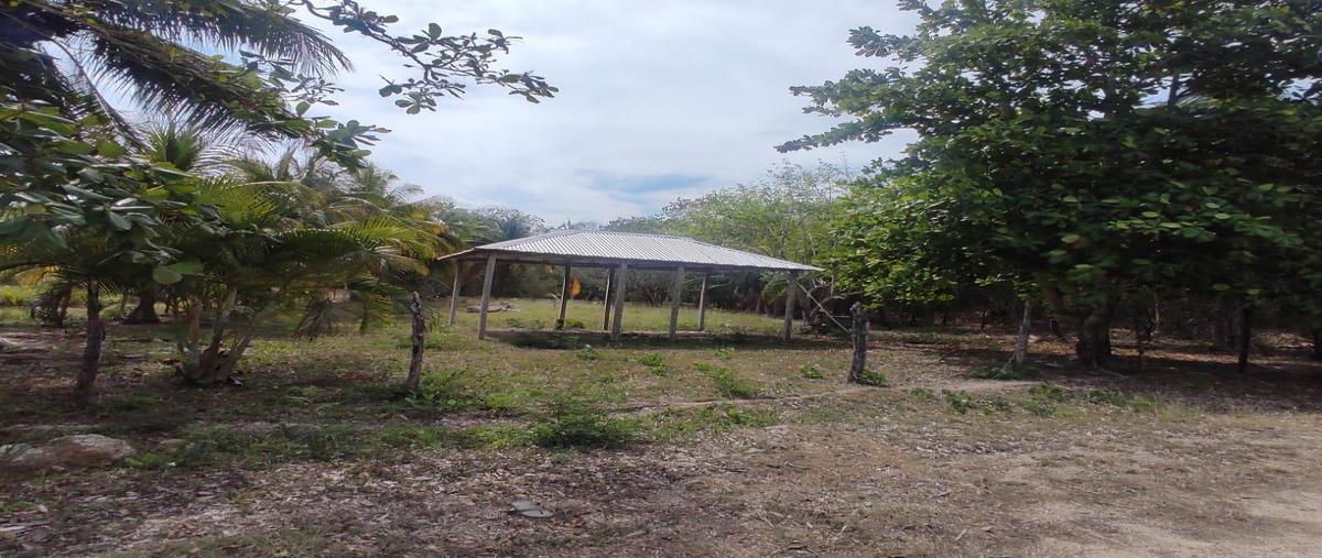 Foto de terreno habitacional en , aarón merino, bacalar, quintana roo, 0 foto 01 Foto de terreno habitacional en venta en , aarón merino, bacalar, quintana roo, 0 No. 01