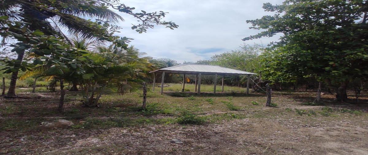 Foto de terreno habitacional en , aarón merino, bacalar, quintana roo, 0 foto 02 Foto de terreno habitacional en venta en , aarón merino, bacalar, quintana roo, 0 No. 02