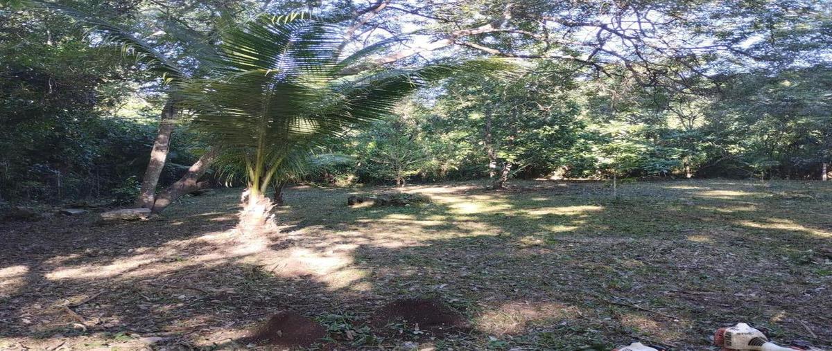 Foto de terreno habitacional en , aarón merino, bacalar, quintana roo, 0 foto 01 Foto de terreno habitacional en venta en , aarón merino, bacalar, quintana roo, 0 No. 01