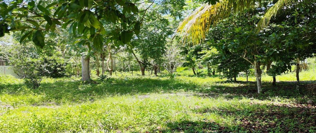 Foto de terreno habitacional en , aarón merino, bacalar, quintana roo, 0 foto 05 Foto de terreno habitacional en venta en , aarón merino, bacalar, quintana roo, 0 No. 05