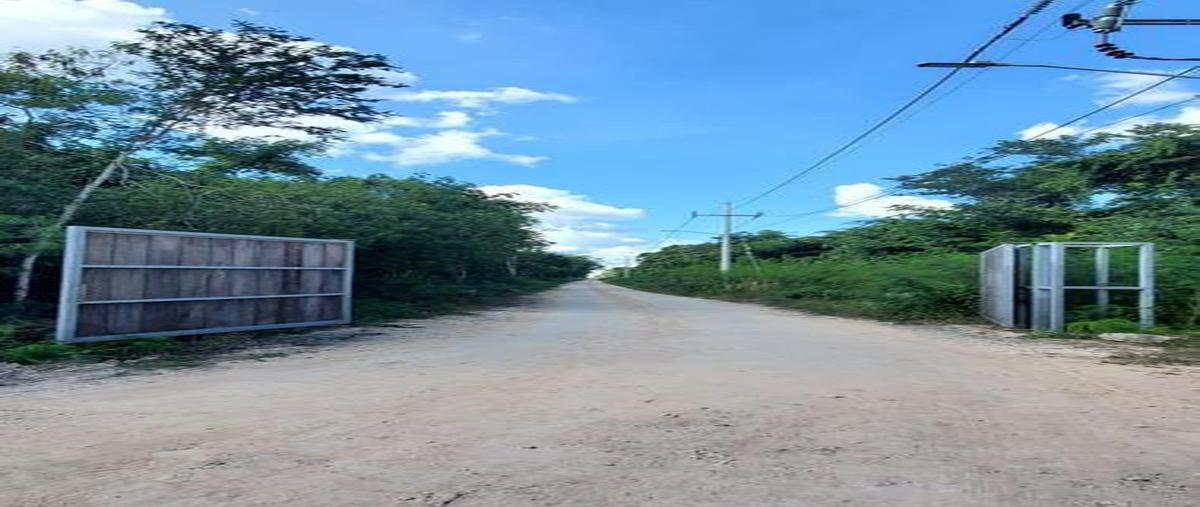 Foto de terreno habitacional en venta en  , aarón merino, bacalar, quintana roo, 0 No. 03