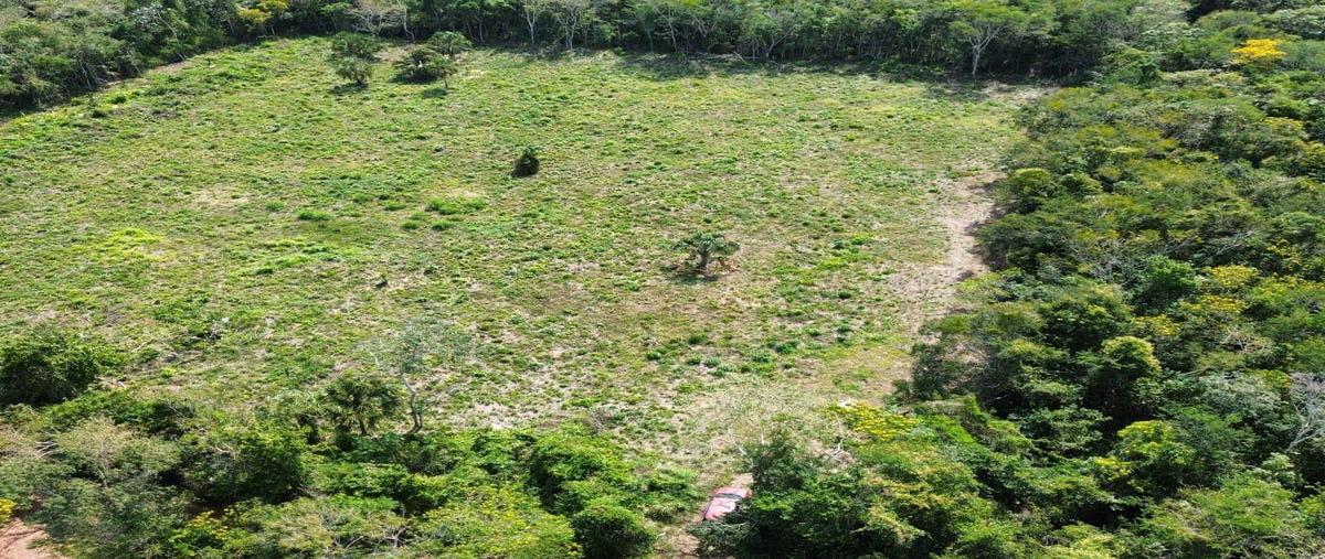 Foto de terreno habitacional en , aarón merino, bacalar, quintana roo, 0 foto 03 Foto de terreno habitacional en venta en , aarón merino, bacalar, quintana roo, 0 No. 03
