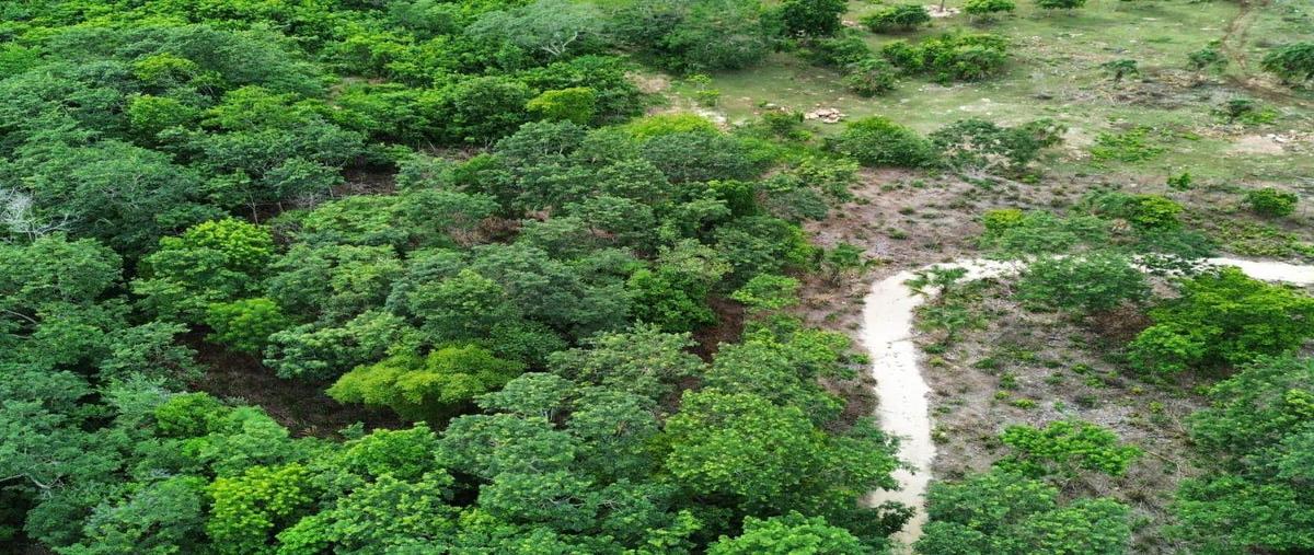 Foto de terreno habitacional en venta en  , aarón merino, bacalar, quintana roo, 0 No. 03