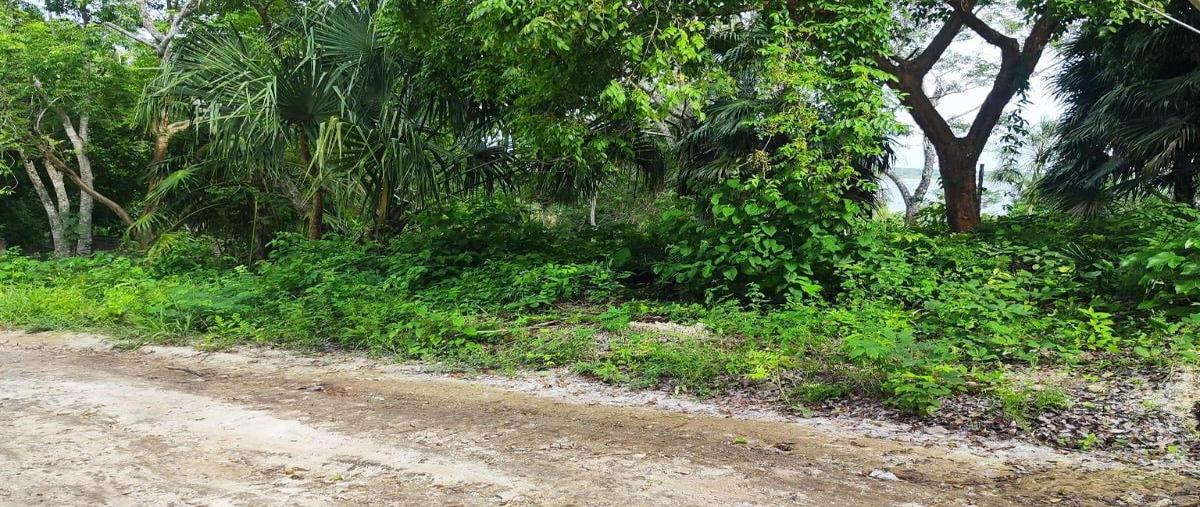 Foto de terreno habitacional en venta en  , aarón merino, bacalar, quintana roo, 0 No. 05