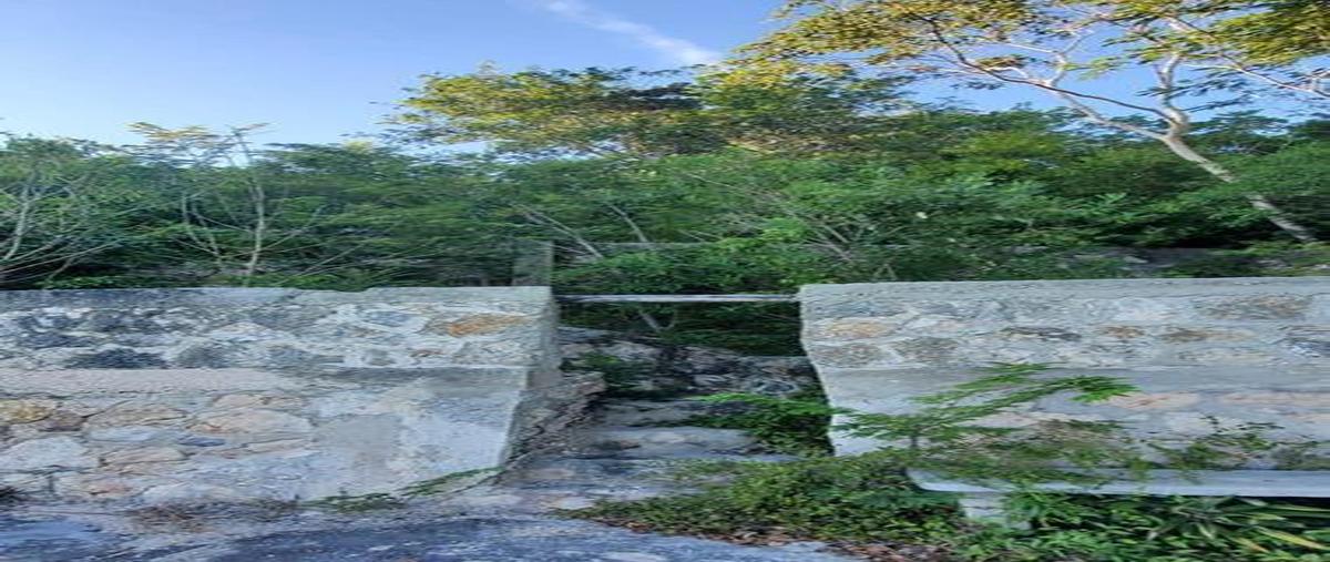 Foto de terreno habitacional en , aarón merino, bacalar, quintana roo, 0 foto 04 Foto de terreno habitacional en venta en , aarón merino, bacalar, quintana roo, 0 No. 04