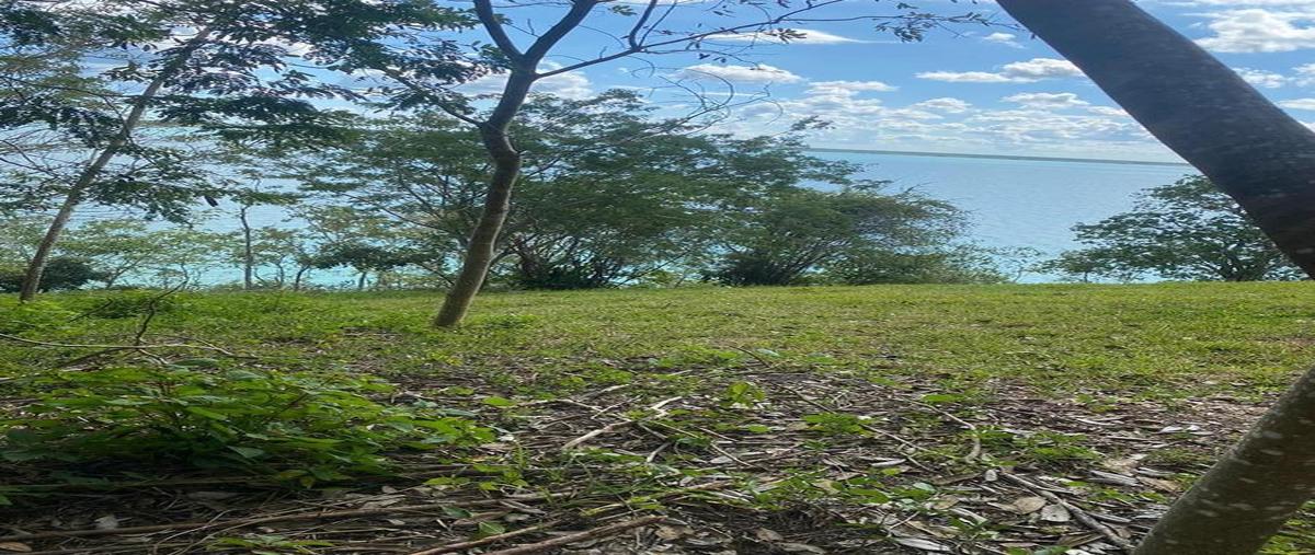 Foto de terreno habitacional en venta en  , aarón merino, bacalar, quintana roo, 0 No. 03
