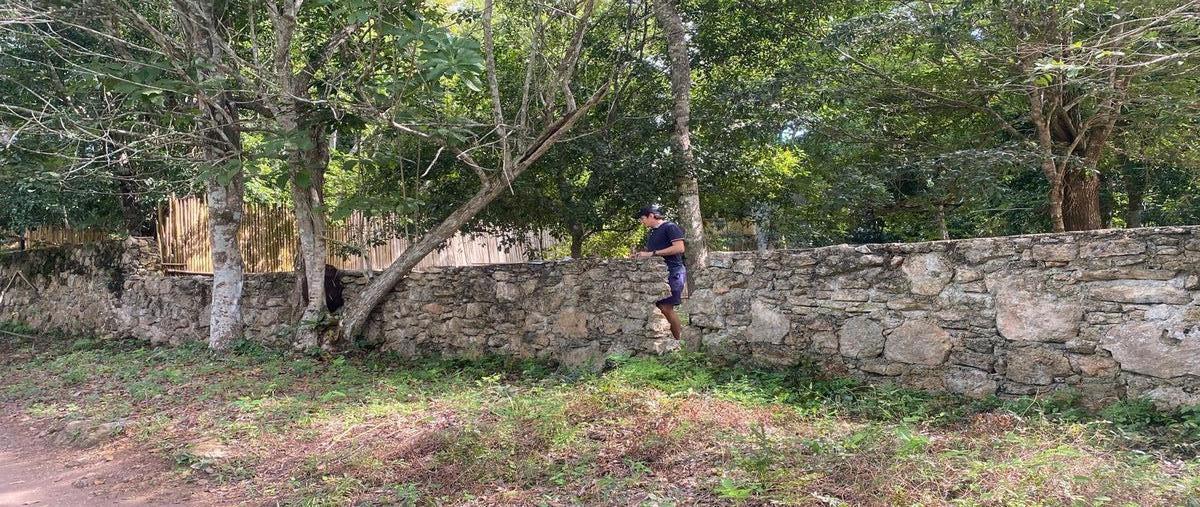 Foto de terreno habitacional en venta en  , aarón merino, bacalar, quintana roo, 0 No. 04