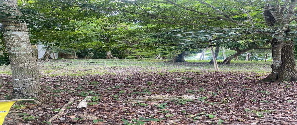 Foto de terreno habitacional en venta en  , aarón merino, bacalar, quintana roo, 0 No. 05