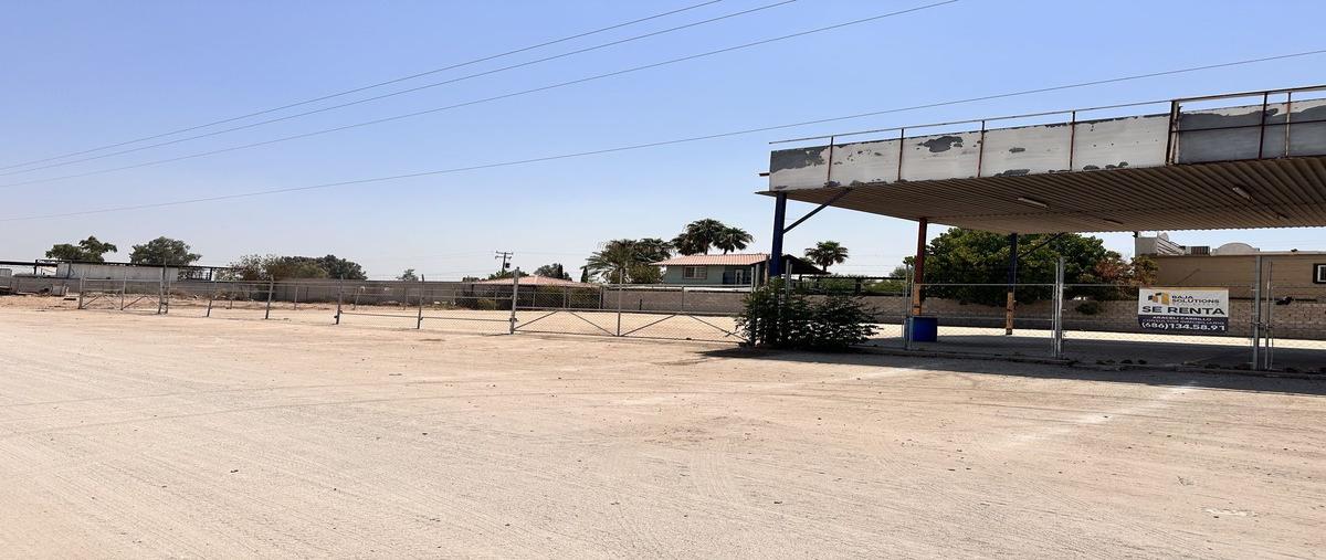Foto de local en renta en ab de la tranquilidad , oasis, los cabos, baja california sur, 0 No. 02
