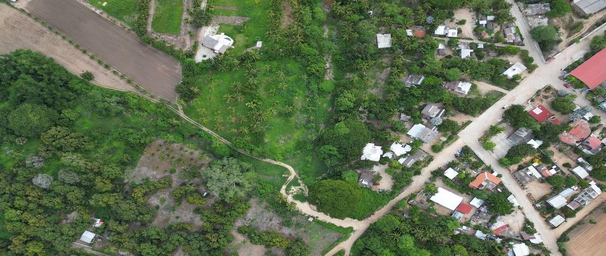 Foto de terreno habitacional en venta en  , abajo, santa maría colotepec, oaxaca, 0 No. 05