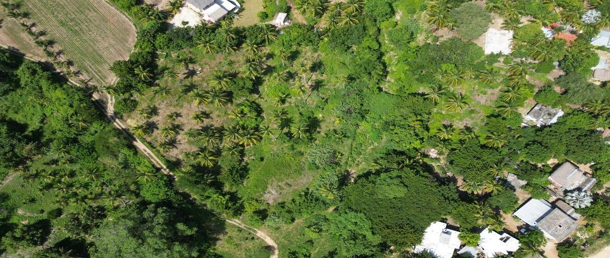 Foto de terreno habitacional en venta en  , abajo, santa maría colotepec, oaxaca, 0 No. 07
