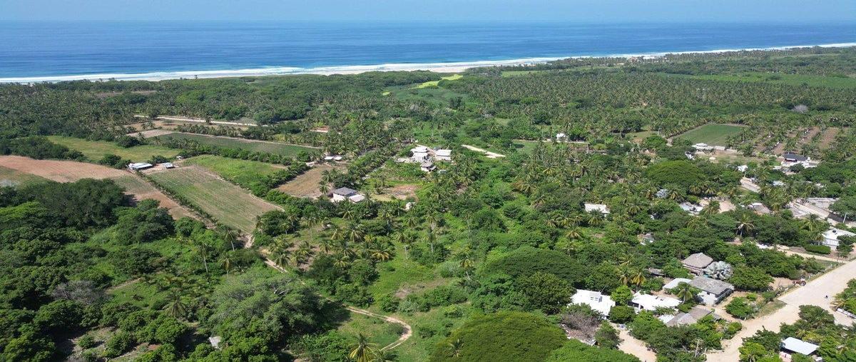 Foto de terreno habitacional en venta en  , abajo, santa maría colotepec, oaxaca, 0 No. 08
