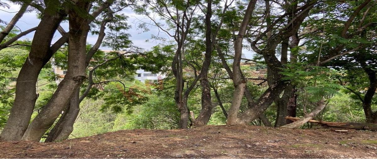 Foto de terreno habitacional en venta en abasolo , benito juárez, amacuzac, morelos, 0 No. 03