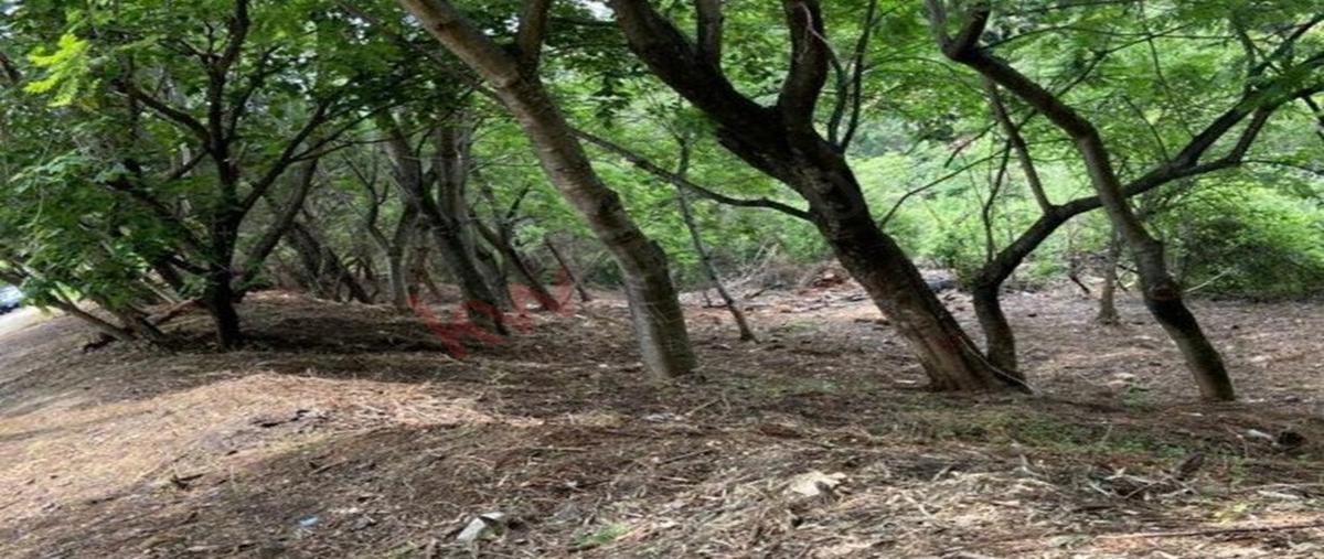 Foto de terreno habitacional en venta en abasolo , benito juárez, amacuzac, morelos, 0 No. 04