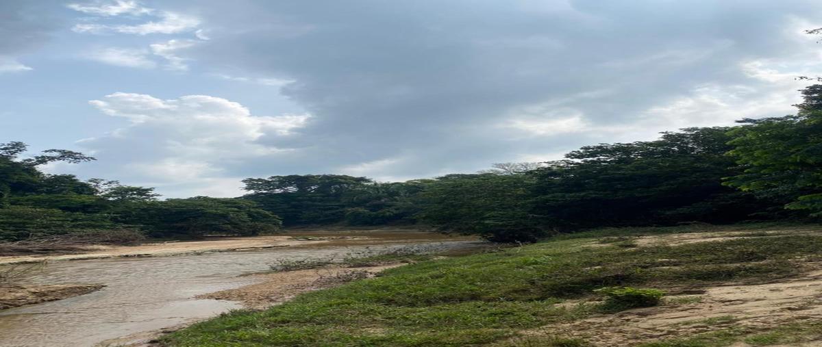 Foto de terreno habitacional en venta en  , abasolo del valle, playa vicente, veracruz de ignacio de la llave, 0 No. 04