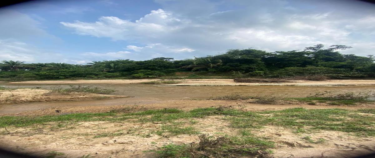 Foto de terreno habitacional en venta en  , abasolo del valle, playa vicente, veracruz de ignacio de la llave, 0 No. 05