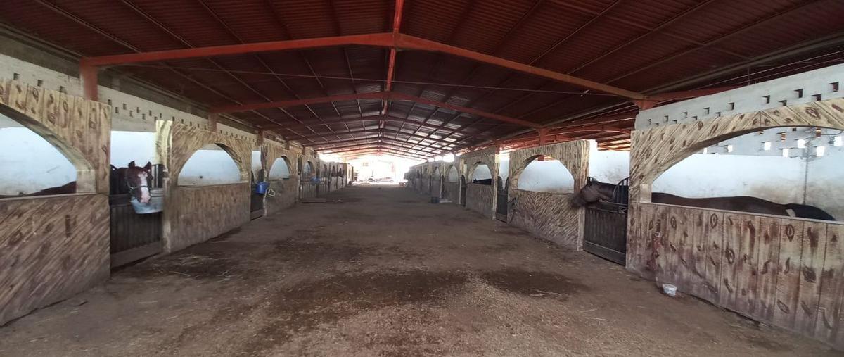 Foto de rancho en venta en abasolo , lázaro cárdenas agropecuaria del norte, general escobedo, nuevo león, 0 No. 04