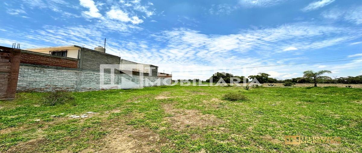 Foto de terreno habitacional en abasolo , mazatla, papalotla, méxico, 28245903 foto 05 Foto de terreno habitacional en venta en abasolo , mazatla, papalotla, méxico, 28245903 No. 05