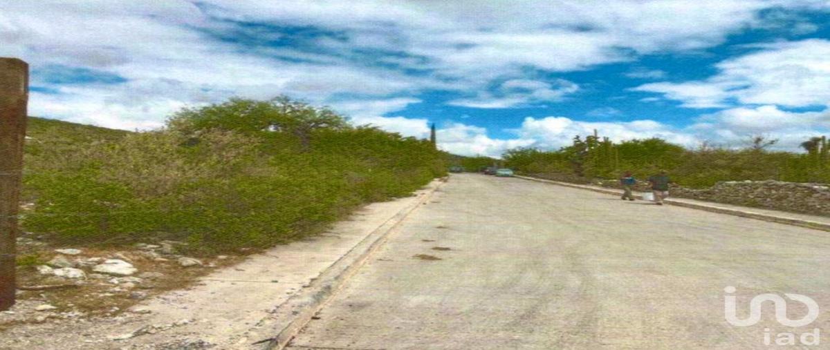 Foto de terreno habitacional en venta en abasolo , villa hidalgo centro, villa hidalgo, san luis potosí, 29927023 No. 03