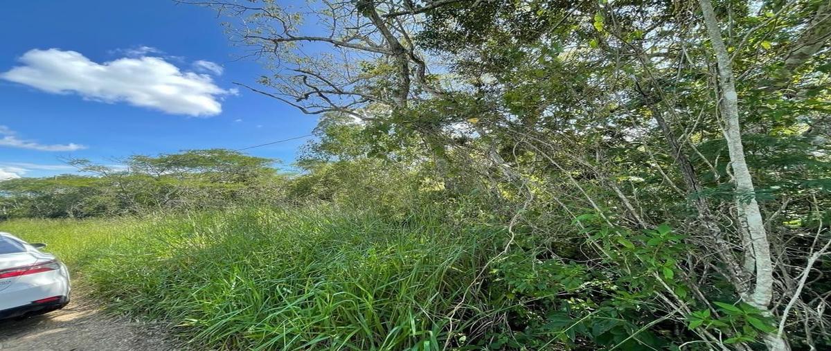Foto de terreno habitacional en venta en abedules , berriozabal centro, berriozábal, chiapas, 27688384 No. 03
