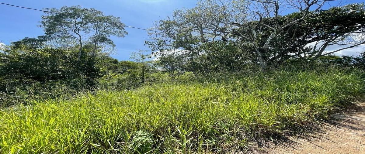 Foto de terreno habitacional en venta en abedules , berriozabal centro, berriozábal, chiapas, 27688384 No. 05