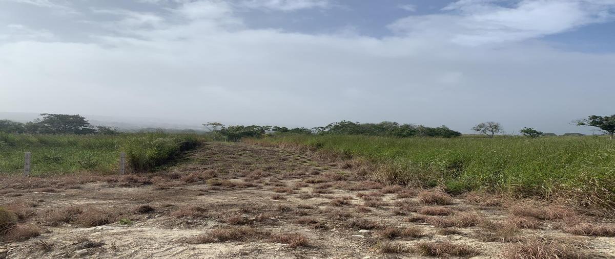 Foto de terreno habitacional en venta en abedules ffracc los olivos , berlín, berriozábal, chiapas, 0 No. 03