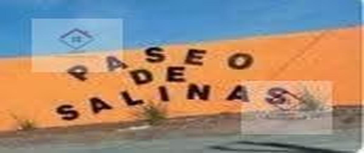 Foto de terreno habitacional en venta en  , abel arriaga, salinas victoria, nuevo león, 0 No. 04