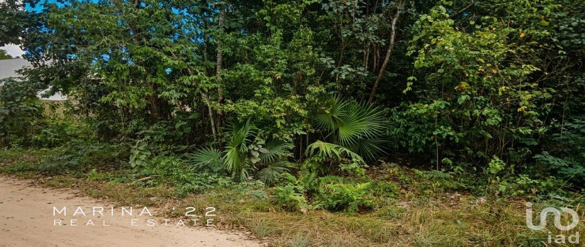 Foto de terreno habitacional en venta en abeto 57, cancÃºn (internacional de cancÃºn), benito juÃ¡rez, quintana roo, 31622143 No. 03