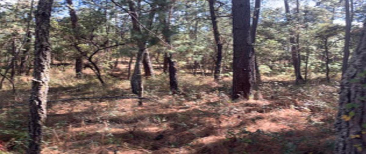 Foto de terreno habitacional en venta en abeto , atemajac de brizuela, atemajac de brizuela, jalisco, 29876344 No. 05