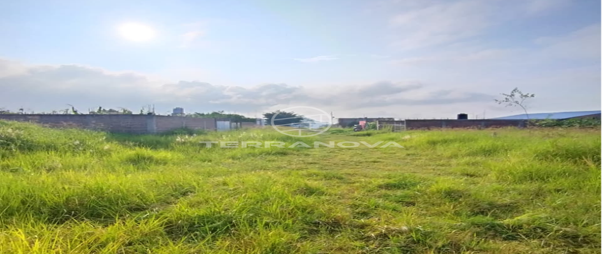 Foto de terreno habitacional en venta en abundancia , ciudad guzmán centro, zapotlán el grande, jalisco, 0 No. 01