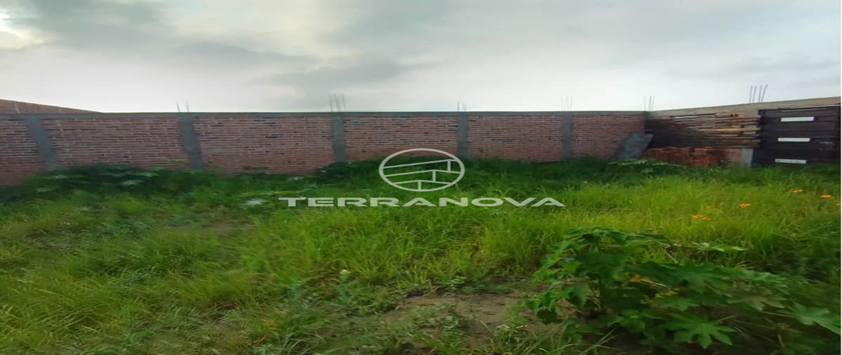 Foto de terreno habitacional en venta en abundancia , ciudad guzmán centro, zapotlán el grande, jalisco, 0 No. 04