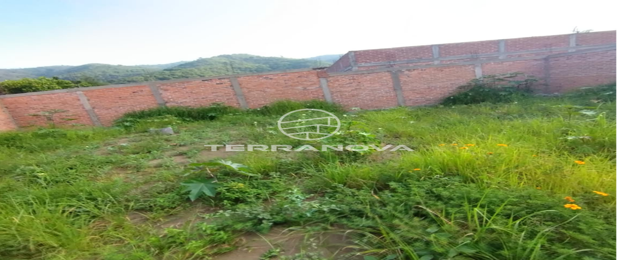 Foto de terreno habitacional en venta en abundancia , ciudad guzmán centro, zapotlán el grande, jalisco, 0 No. 05