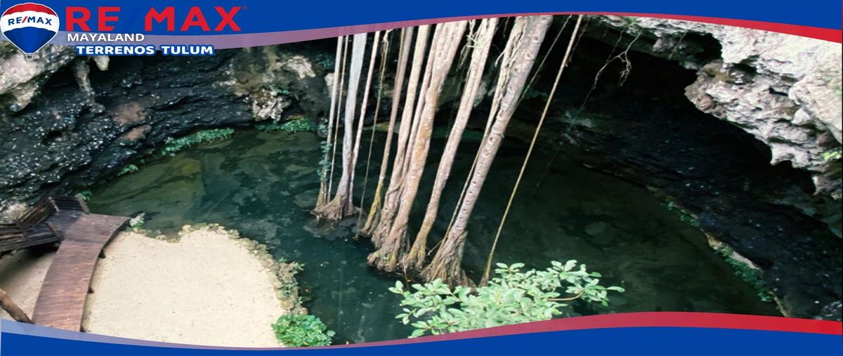 Foto de terreno habitacional en venta en ac coba , manuel antonio ay, tulum, quintana roo, 28173208 No. 03