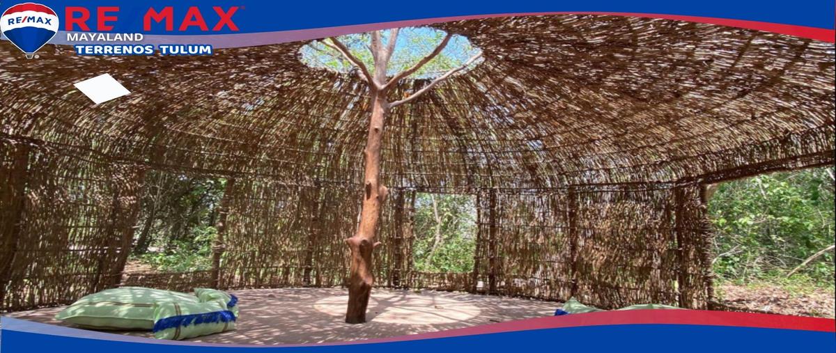 Foto de terreno habitacional en venta en ac coba , manuel antonio ay, tulum, quintana roo, 28173208 No. 04