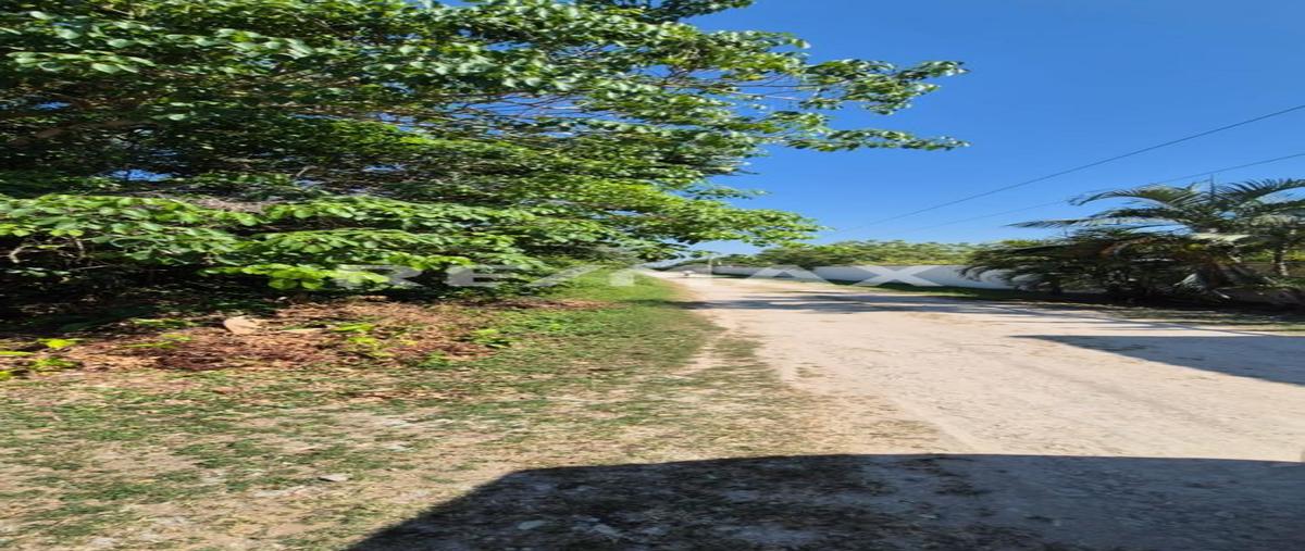 Foto de terreno habitacional en venta en acachapan y colmena , corregidora ortiz 1a secc, centro, tabasco, 0 No. 04