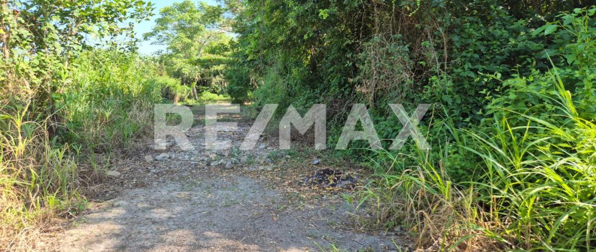 Foto de terreno habitacional en venta en acachapan y colmena , corregidora ortiz 1a secc, centro, tabasco, 0 No. 05