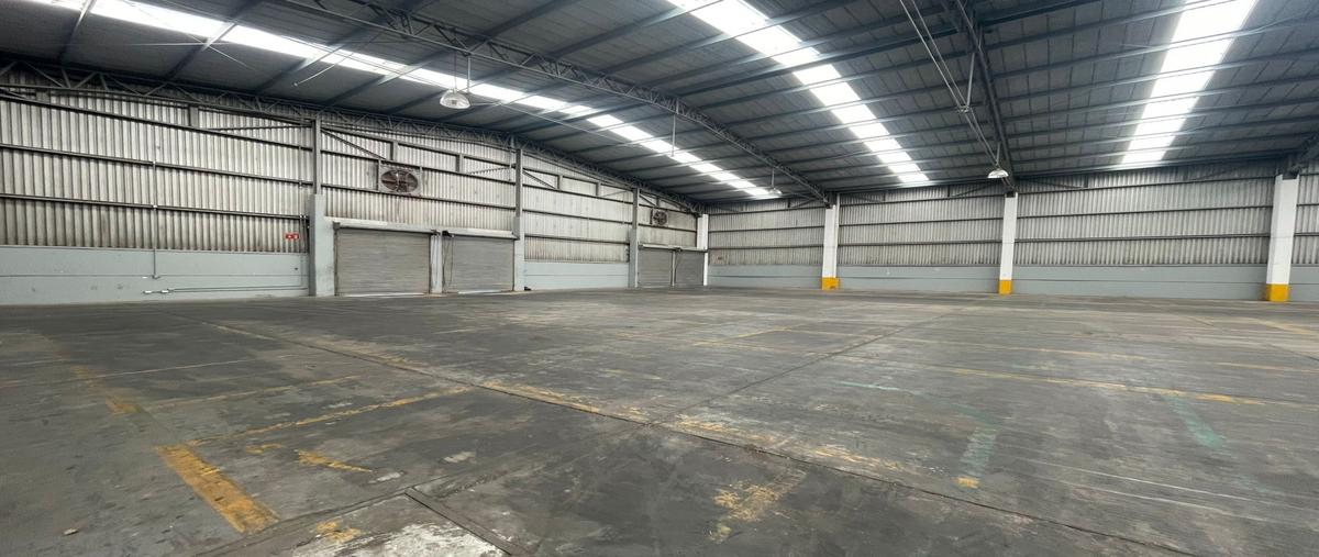 Foto de bodega en renta en acacias , bruno pagliai, veracruz, veracruz de ignacio de la llave, 24845708 No. 03