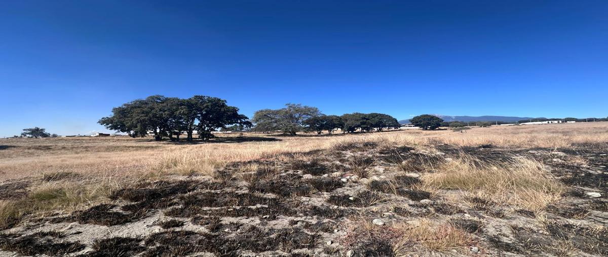 Foto de terreno habitacional en venta en  , acajete, acajete, puebla, 28557961 No. 05