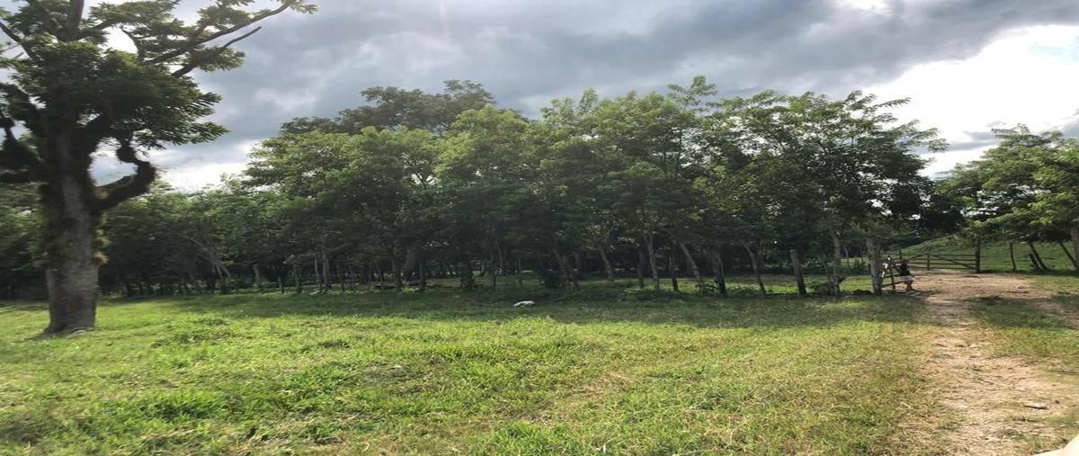 Foto de rancho en venta en  , acalá centro, acala, chiapas, 0 No. 03