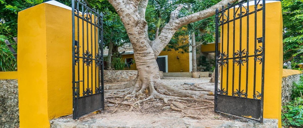 Foto de rancho en acanceh , acanceh, acanceh, yucatán, 27434378 foto 05 Foto de rancho en venta en acanceh , acanceh, acanceh, yucatán, 27434378 No. 05