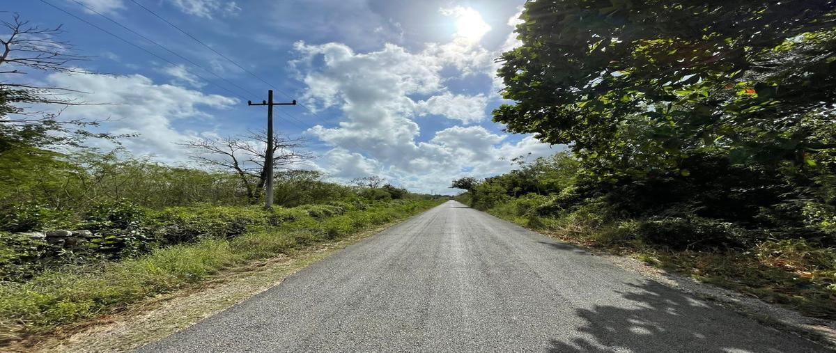 Foto de casa en venta en  , acanceh, acanceh, yucatán, 23926514 No. 03