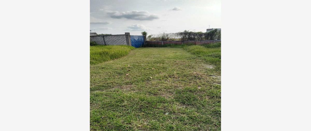 Foto de terreno habitacional en venta en  , acapatzingo, cuernavaca, morelos, 0 No. 05