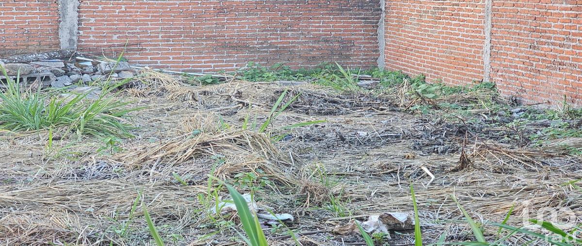 Foto de terreno habitacional en venta en acapatzingo , lomas de acapatzingo, cuernavaca, morelos, 31668899 No. 05
