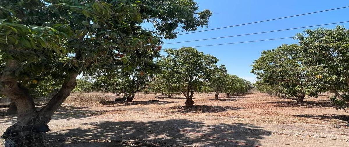 Foto de terreno habitacional en venta en  , acaponeta centro, acaponeta, nayarit, 25087765 No. 03