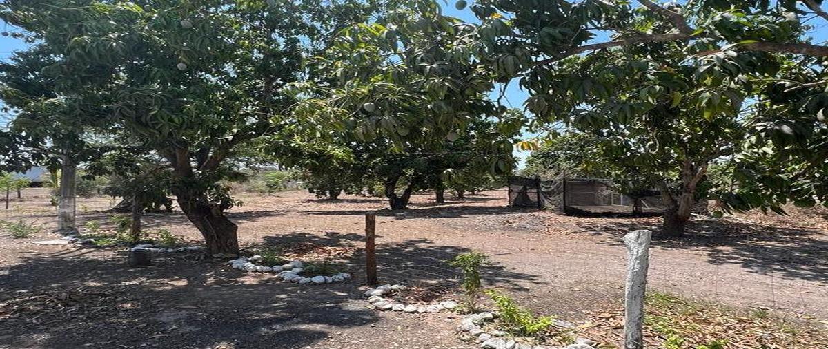 Foto de terreno habitacional en venta en  , acaponeta centro, acaponeta, nayarit, 25087765 No. 05