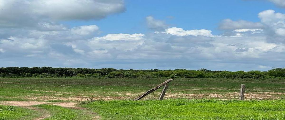 Foto de terreno habitacional en venta en  , acaponeta centro, acaponeta, nayarit, 25338969 No. 04