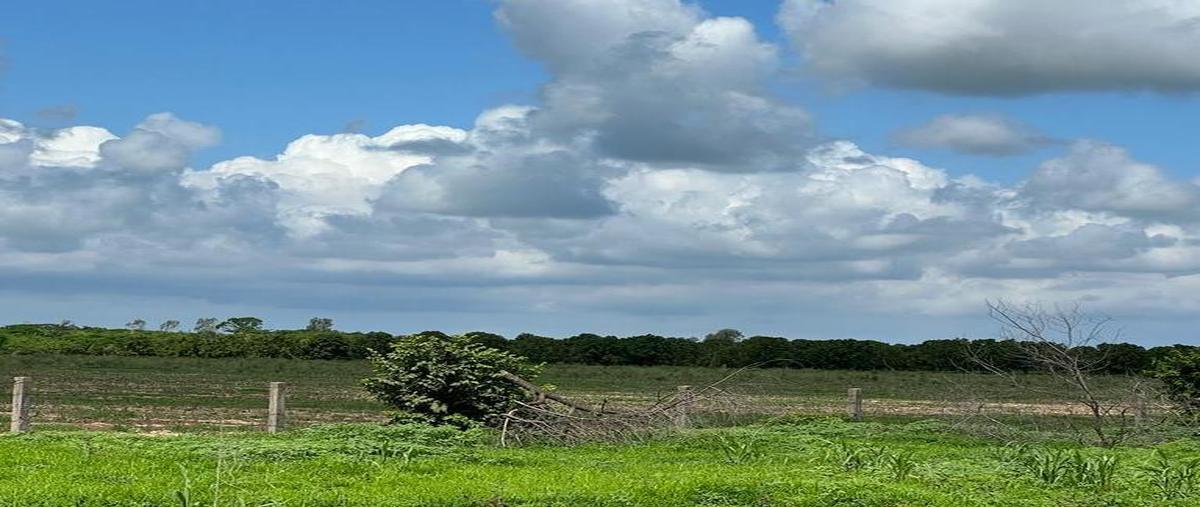 Foto de terreno habitacional en venta en  , acaponeta centro, acaponeta, nayarit, 25338969 No. 05