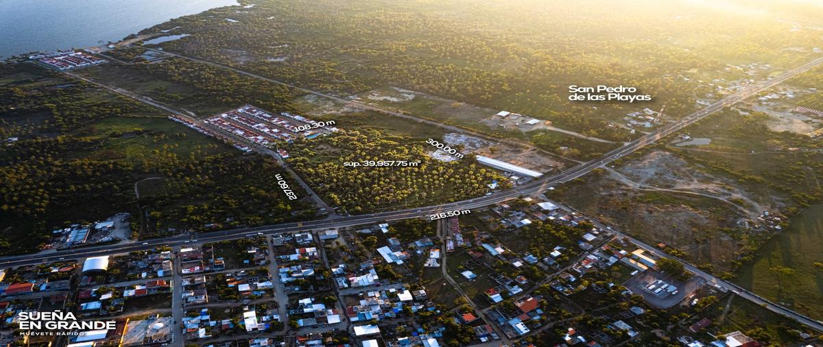 Foto de terreno habitacional en venta en  , acapulco de juárez centro, acapulco de juárez, guerrero, 24518496 No. 05